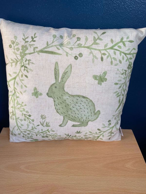 Sage cottage cushion