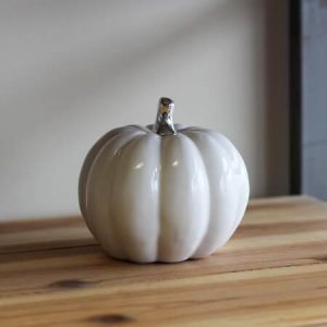 Large White Pumpkin