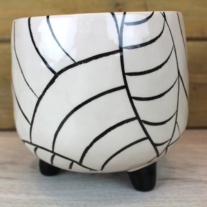 White and Black Planter
