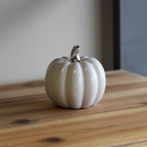 Small White Pumpkin